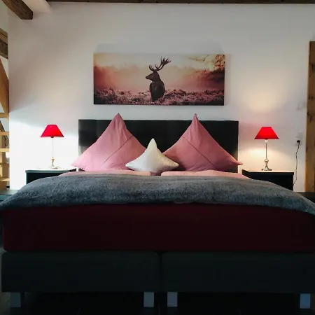 Apartamento Ferienscheune Maria